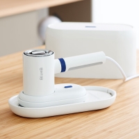 블루비 핸디형 스팀 다리미